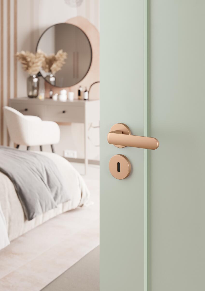 Door handles DH29